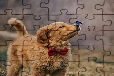 16 jigsaw puzzle