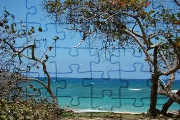 Cuba - La Havane en bord de mer jigsaw puzzle