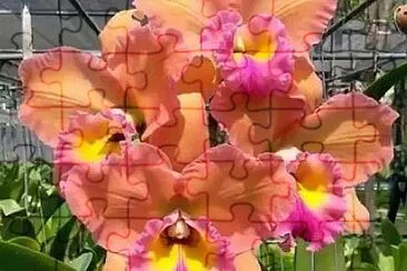 flores jigsaw puzzle