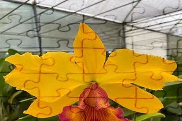 flores jigsaw puzzle