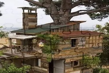 la casa del arbol