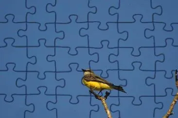 natural jigsaw puzzle