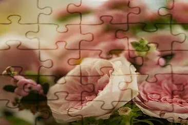 flores jigsaw puzzle