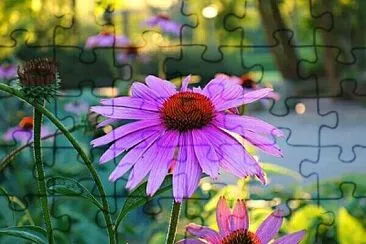 flores jigsaw puzzle