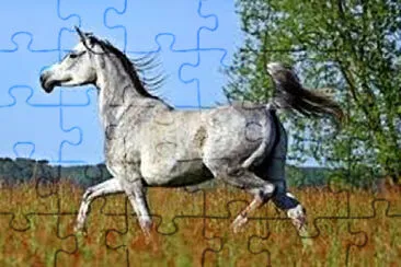 sultÃ¡n jigsaw puzzle