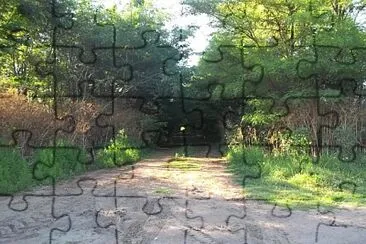 פאזל של Tunel de Arboles!!!!