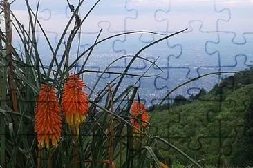 Cerro San Javier-TucumÃ¡n jigsaw puzzle