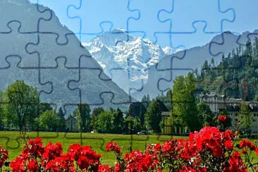  jigsaw puzzle