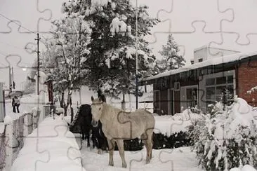 TucumÃ¡n Nevado jigsaw puzzle