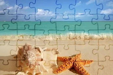 Estrela do Mar jigsaw puzzle