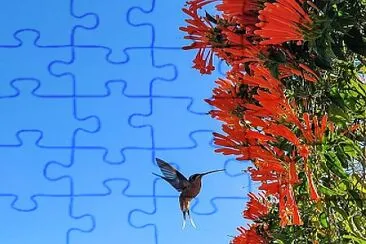 flores jigsaw puzzle