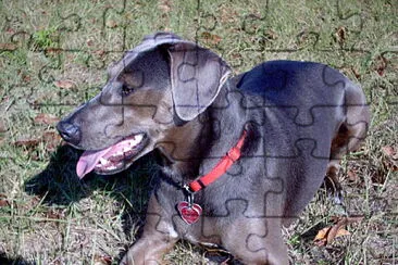 Blue lacy jigsaw puzzle