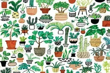 Plantas