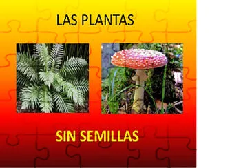 פאזל של PLANTAS SIN SEMILLA