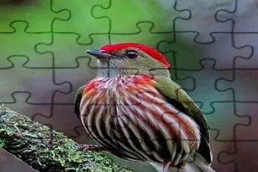 natural jigsaw puzzle