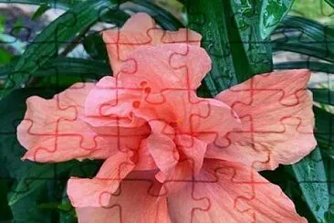 imagem jigsaw puzzle