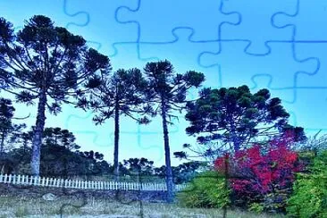 imagem jigsaw puzzle