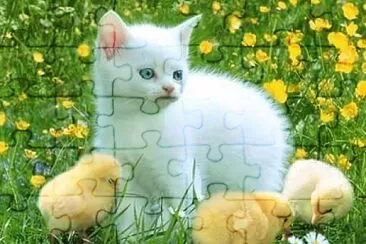 可愛的小貓和小雞 jigsaw puzzle