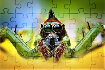 Here 's looking at you, kid jigsaw puzzle