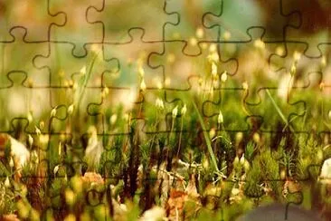 imagenes de filums jigsaw puzzle