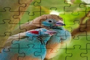 natural jigsaw puzzle