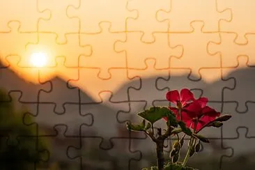 natural jigsaw puzzle