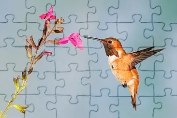 flores jigsaw puzzle