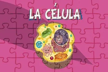 La cÃ©lula