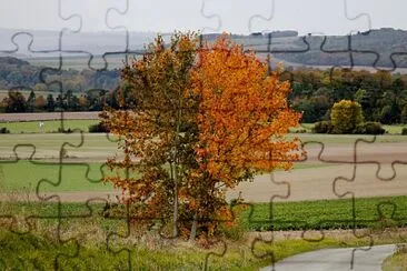 Automne jigsaw puzzle