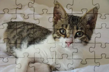 Cyprus schortair jigsaw puzzle