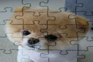 perrito tiernito jigsaw puzzle