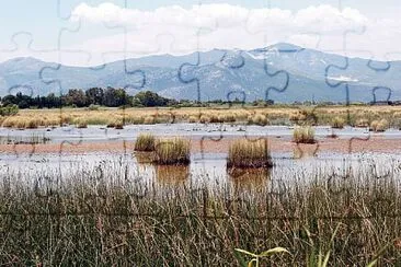 Marshlands of Marathon jigsaw puzzle