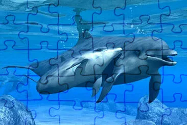 dolphin love jigsaw puzzle