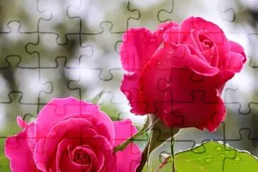 imagem jigsaw puzzle