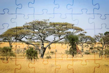 imagem jigsaw puzzle