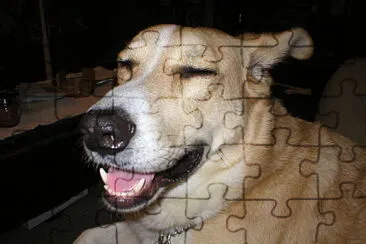 Pee Dog jigsaw puzzle