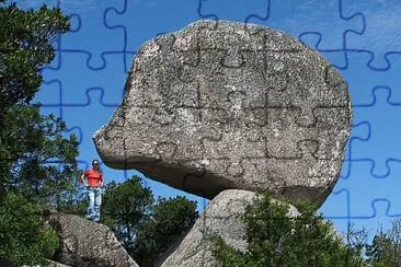 natural jigsaw puzzle