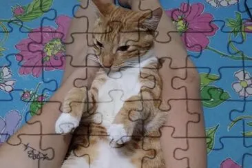  jigsaw puzzle