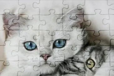 animals jigsaw puzzle