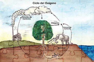 CICLO DEL OXIGENO jigsaw puzzle