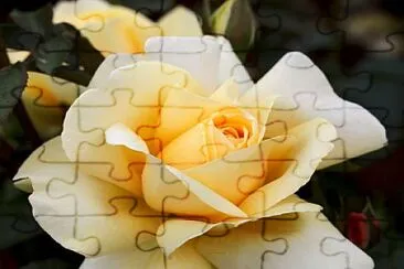 flores jigsaw puzzle