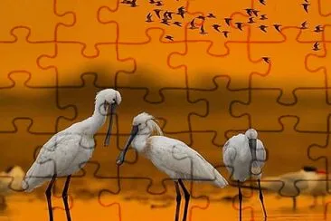 natural jigsaw puzzle