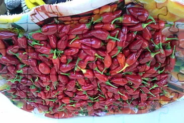 RÃ©colte de piments