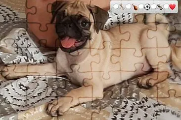 Dog Sonic jigsaw puzzle