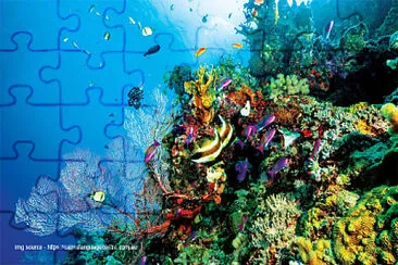 4 jigsaw puzzle