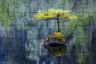 natural jigsaw puzzle