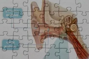  jigsaw puzzle