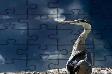 natural jigsaw puzzle