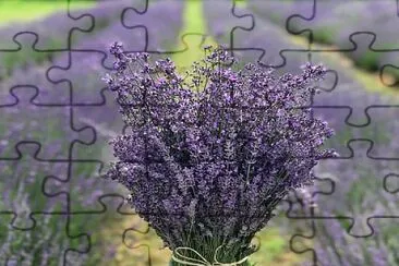 flores jigsaw puzzle