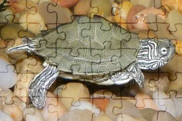 Della mappa di cagle jigsaw puzzle